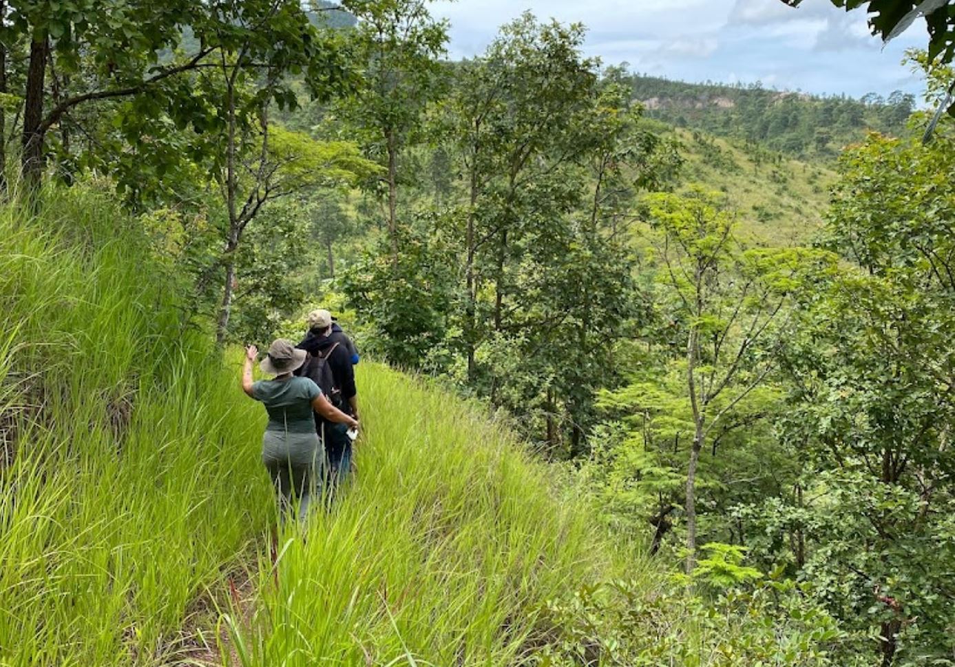 Honduras declarará área protegida al Refugio de Vida Silvestre Suyapa