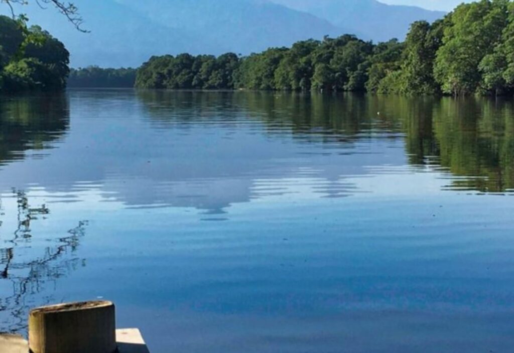 Laguna de Guaimoreto, refugio de vida silvestre