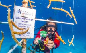 Roatán Marine Park crea «Proyecto de Restauración de Coral»