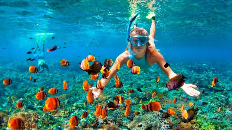 Los mejores lugares del mundo para practicar snorkel