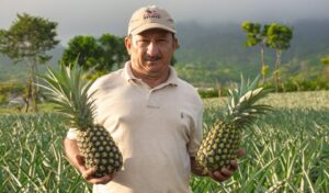 Walmart, beneficia productores locales con programa "Tierra Fértil"