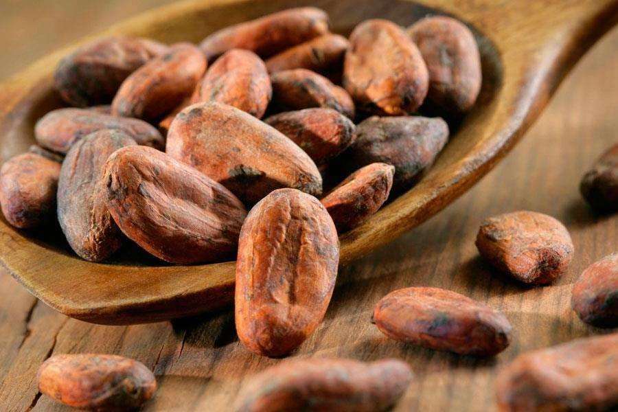 Cacao