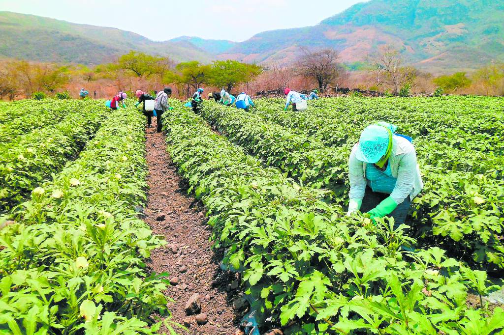 Agricultores
