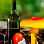 Festival del Choro y el Vino llena de vida a Intibucá
