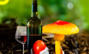 Festival del Choro y el Vino llena de vida a Intibucá