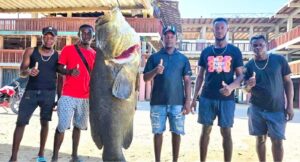 Garífunas capturan un mero gigante de 400 libras en Iriona