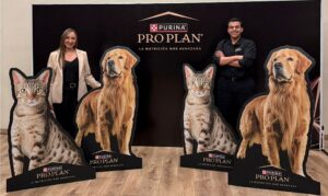 Dermatitis canina: Alerta en temporada lluviosa