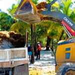 Roatán activa limpieza express por sargazo en West Bay