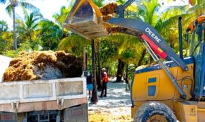 Roatán activa limpieza express por sargazo en West Bay