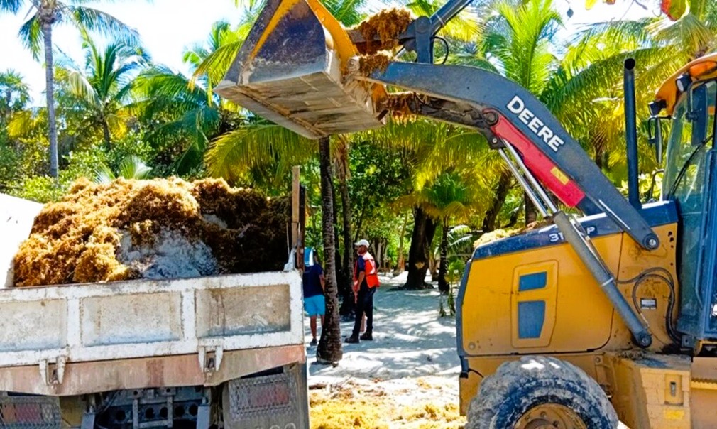 Roatán activa limpieza express por sargazo en West Bay