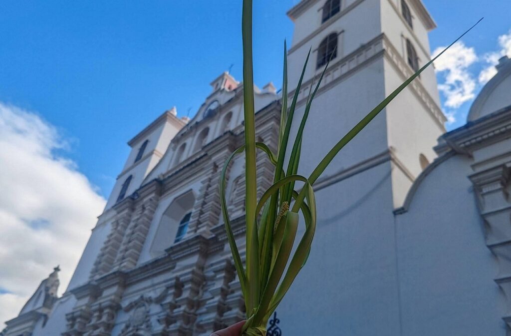 Semana Santa inicio de ramos 3