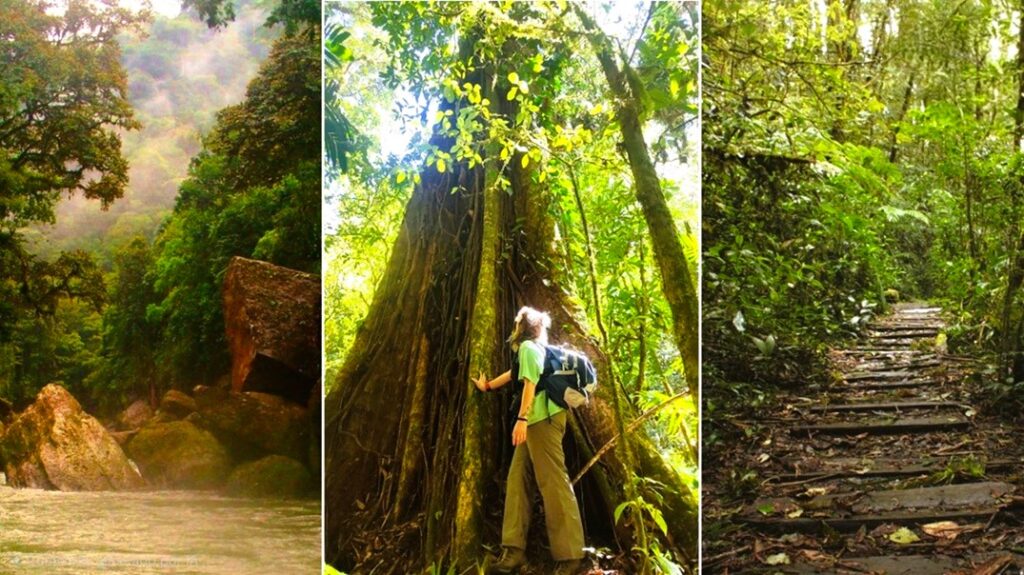 Honduras seduce al mundo con turismo natural vivo