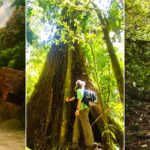 Honduras seduce al mundo con turismo natural vivo