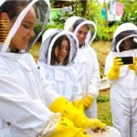 Samsung conquista miradas con impulso verde juvenil