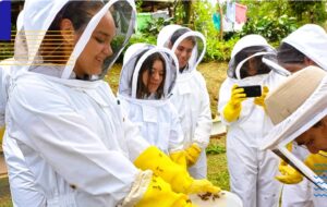 Samsung conquista miradas con impulso verde juvenil