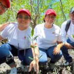 Seguros Verdes de Davivienda rescatan Manglares en Centroamérica