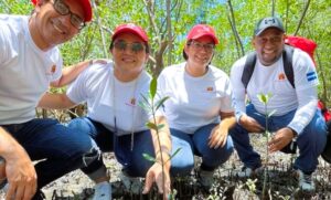 Seguros Verdes de Davivienda rescatan Manglares en Centroamérica